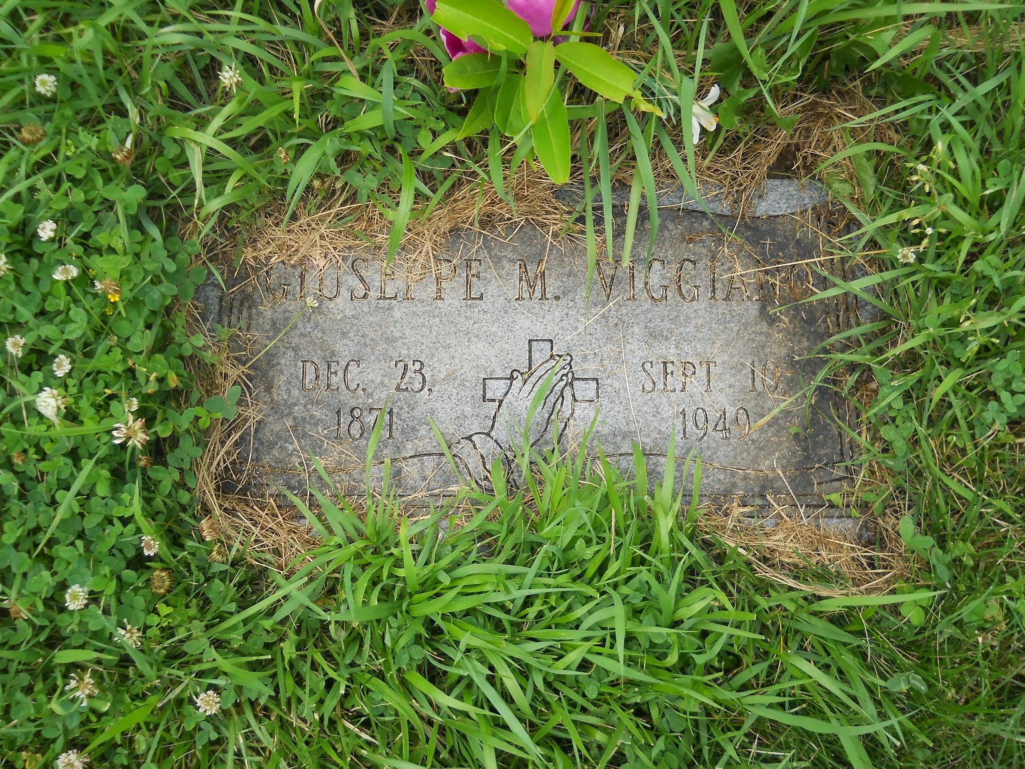 Giuseppe Viggiano memorial before cleaning